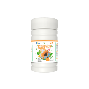Kedi Gynapharm Capsule – (72 Capsules)